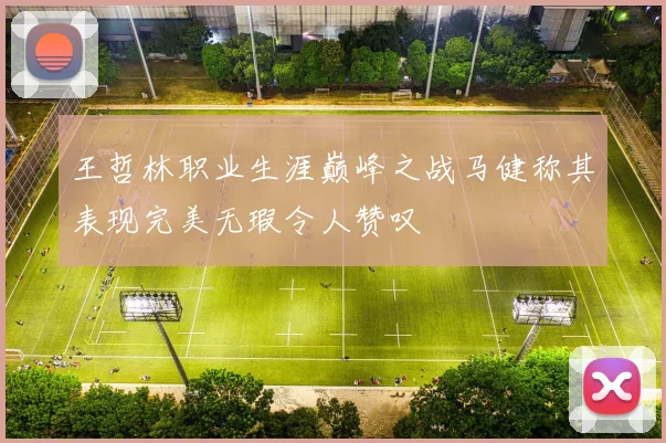 王哲林职业生涯巅峰之战马健称其表现完美无瑕令人赞叹